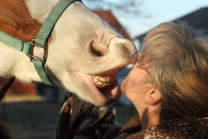 Woman nuzzling horse that is smiling