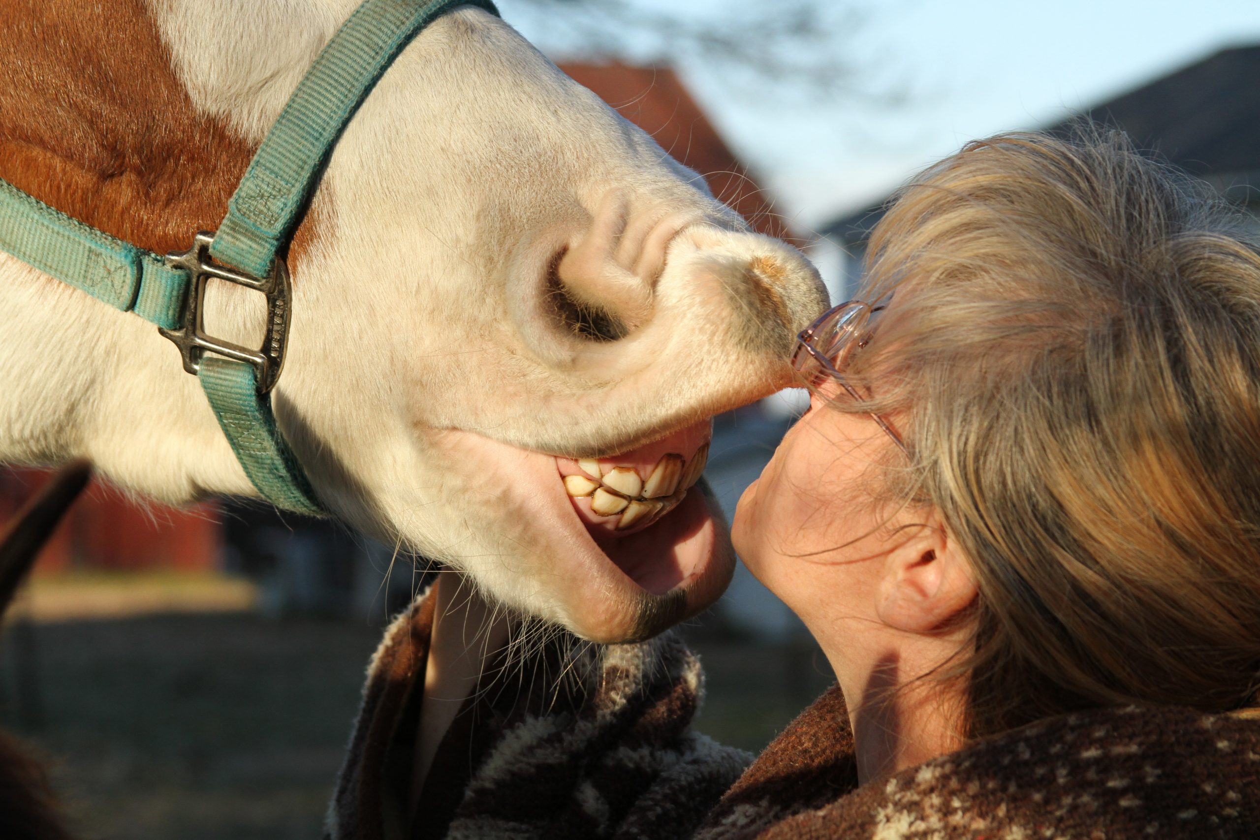 Woman nuzzling horse that is smiling