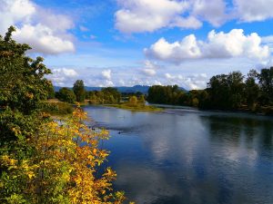 Willamette_River_in_Eugene,_Oregon