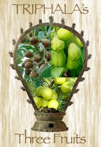 Triphala Fruits