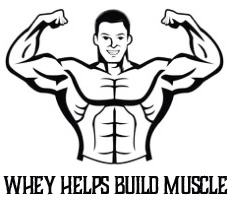 Whey Helps Build Muscles