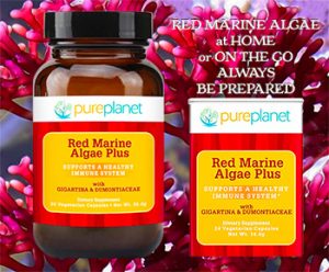 Pure Planet Red Marine Algae