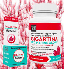 Vibrant Health Gigartina Caps & Ointment