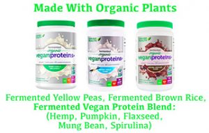 Fermented Organic Vegan Protein