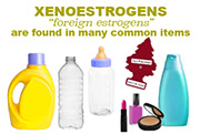 Xenoestrogens