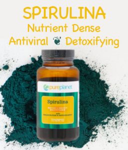 Spirulina