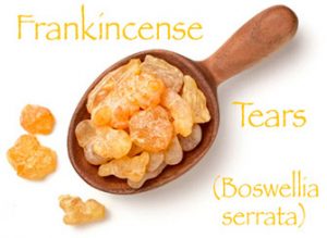 Frankincense Tears (Boswellia serrata)