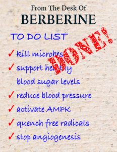 Berberine To Do List